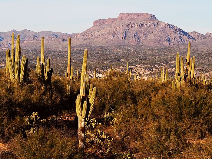 Nr.55 – USA – Arizona – Radfahren im Kaktusland | Pushbikegirl - Heike